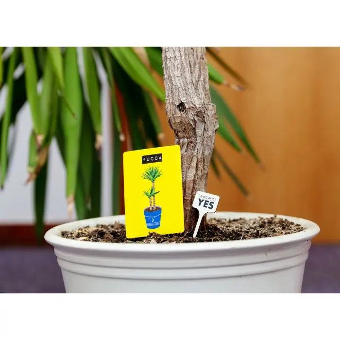 Don't Kill Your Houseplants Survival Guide Cards