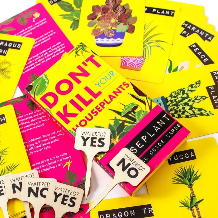 Don't Kill Your Houseplants Survival Guide Cards