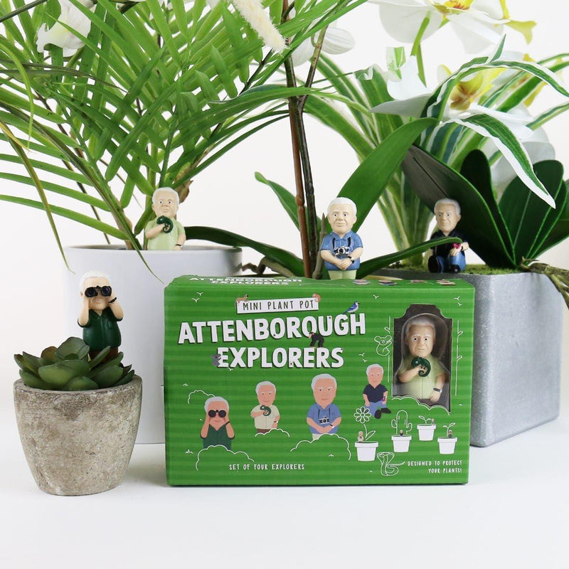 Mini Plant Pot Markers: Attenborough Explorers