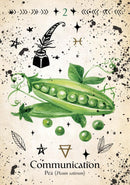 Green Witcha Oracle Cards