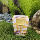 Ice Cream Cone - Passionfruit