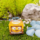 Grow Your Own Kits - African Animals