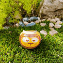 Grow Your Own Kits - African Animals