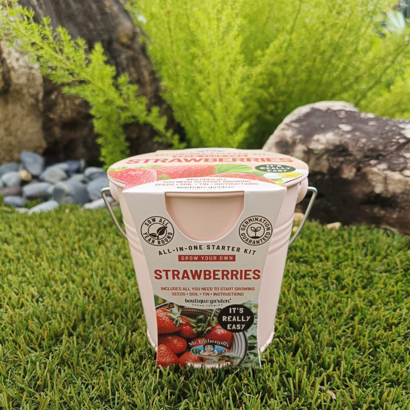 Zinc Pot Wooden Handle - Strawberries