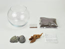 Aquatic Plants Growing Kit - Small