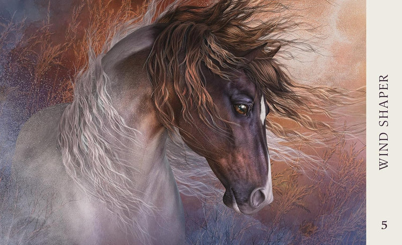 Horse Wisdom Oracle (Deluxe Oracle Cards)