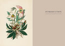 Practical Guide to Magic in Nature Book