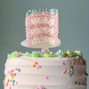 Large Hair Claw Clip - Confetti Cake