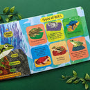 The Life Cycle Book - Frogs