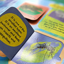 The Life Cycle Book - Frogs