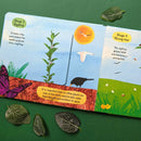 The Life Cycle Book - Trees