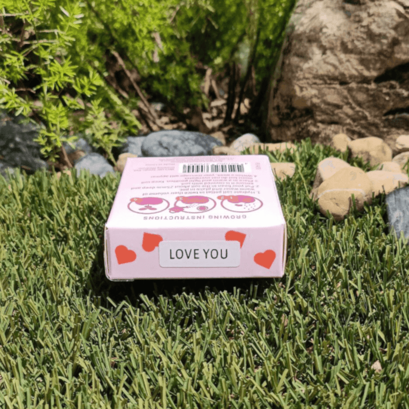 Grow Your Own Kits: Mini Rose Heart