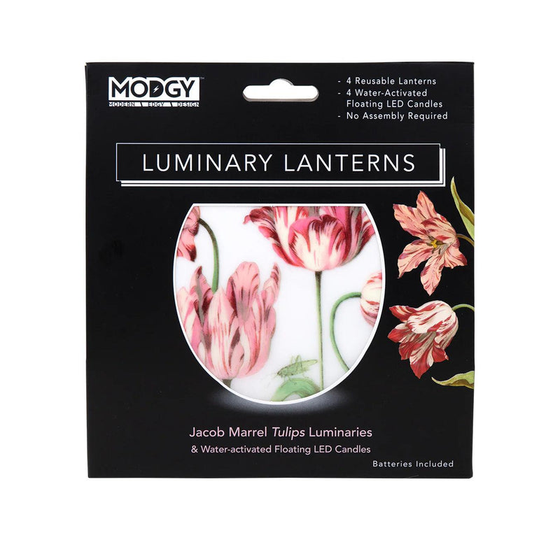 Luminary Lanterns - Jacob Marrell Tulips