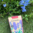 Pastel Coloured Pots With Chalk: Lavender