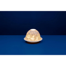 Lithophane Dome - Dandelion Fairies