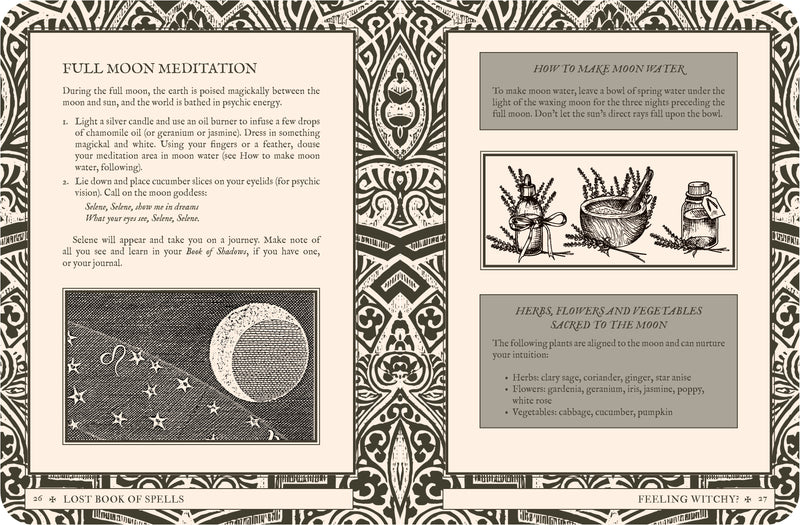 Book - Lost Book of Spells