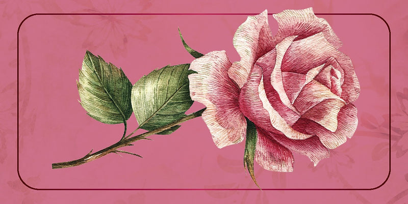 Love Affirmations Cards