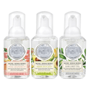Mini Foaming Hand Soap Set - Citrus & Herbs