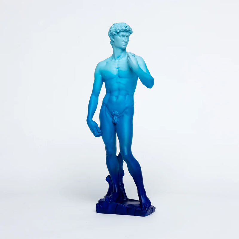 Statue - David Michelangelo