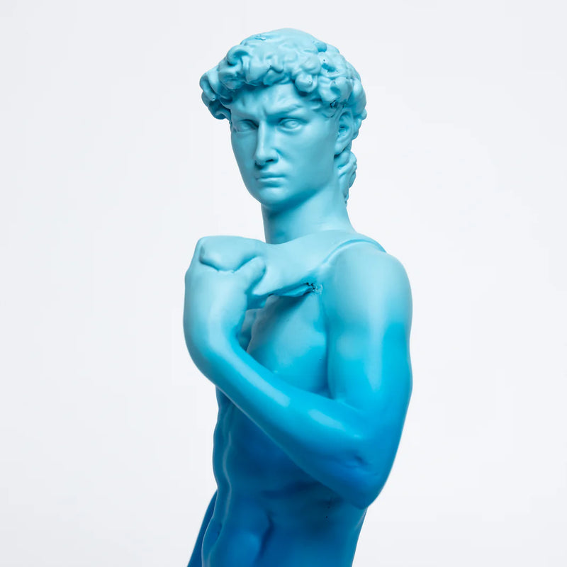 Statue - David Michelangelo
