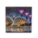 Singapore Fridge Magnet - Flower Dome