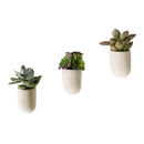 Magnetic Plant Pot
