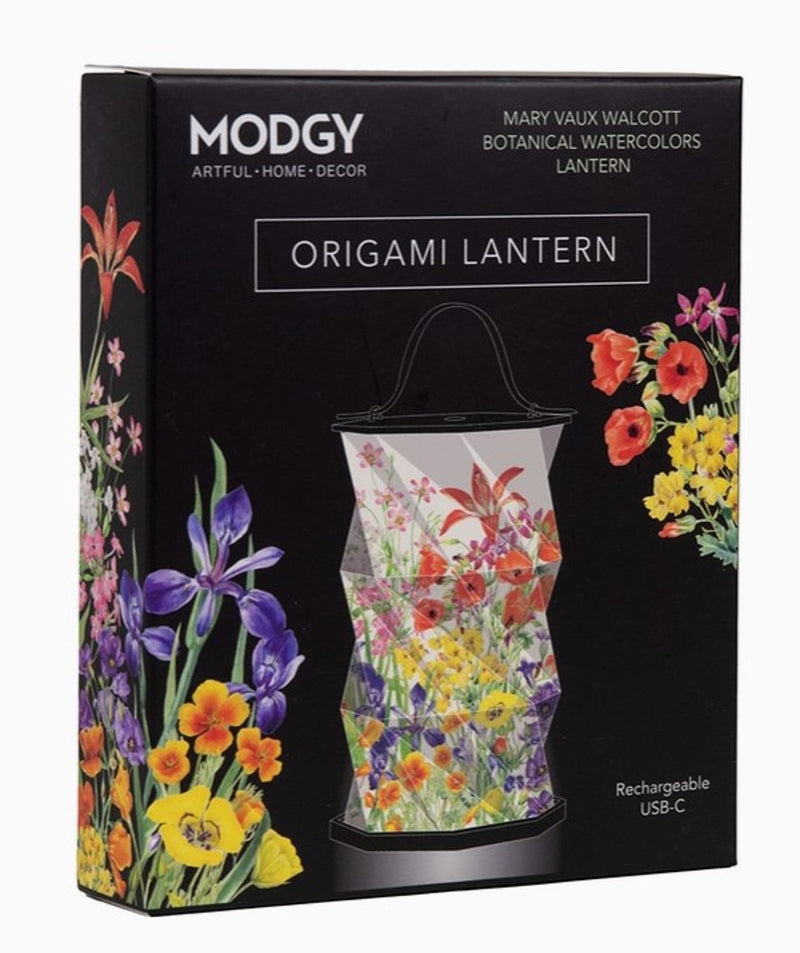 Origami Lanterns - Mary Vaux Walcott Botanical Watercolor