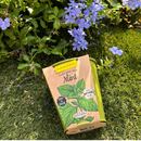 Pastel Coloured Pots With Chalk: Mint