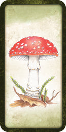 Mushroom Affirmations Cards