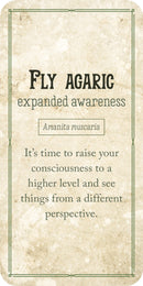 Mushroom Affirmations Cards