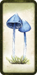 Mushroom Affirmations Cards