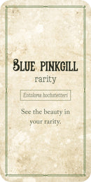 Mushroom Affirmations Cards