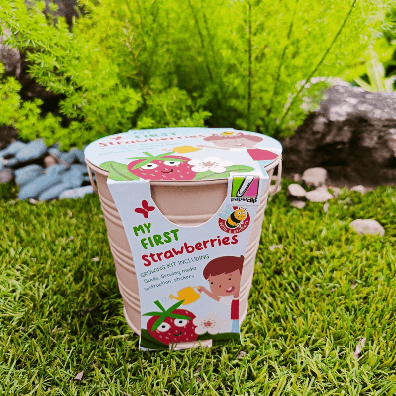 My First - Strawberries