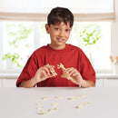 T.Rex Excavation Kit