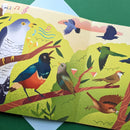 Nature Look and Find Board Book - Birds