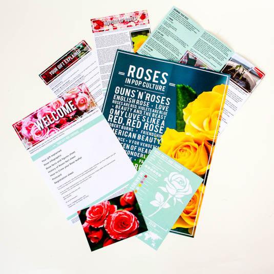 Personalised Name a Rose Kit