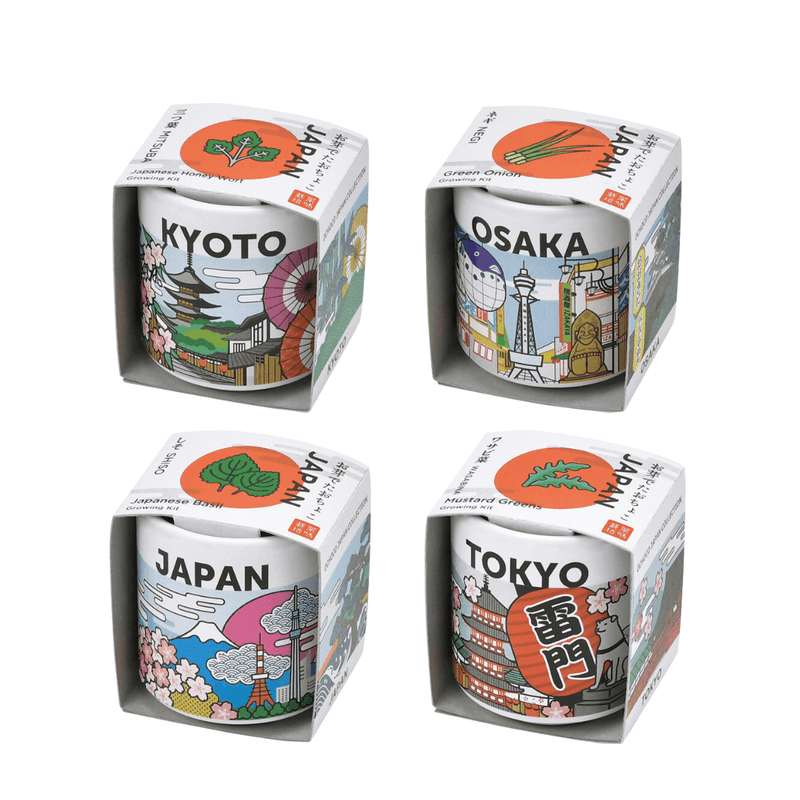 Ochoko Japan - Tokyo (Wasabina)
