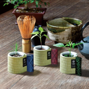 Omedeta Ochoko - Chili Pepper