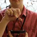 Origami Lanterns - Mary Vaux Walcott Botanical Watercolor