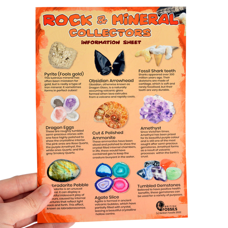 Info Sheet - Rock & Mineral Collectors