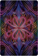 Reiki Divine Healing Card Deck