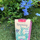 Pastel Coloured Pots With Chalk: Rosemary