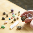 Science Museum - Fossil & Mineral Discovery Kit