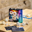 Science Museum - Break Your Own Geodes Kit