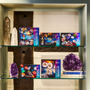 Science Museum - Fossil Collection Kit