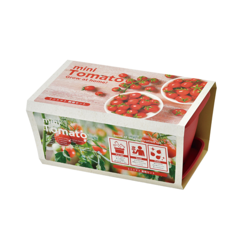 Enjoy Planter - Mini Tomato