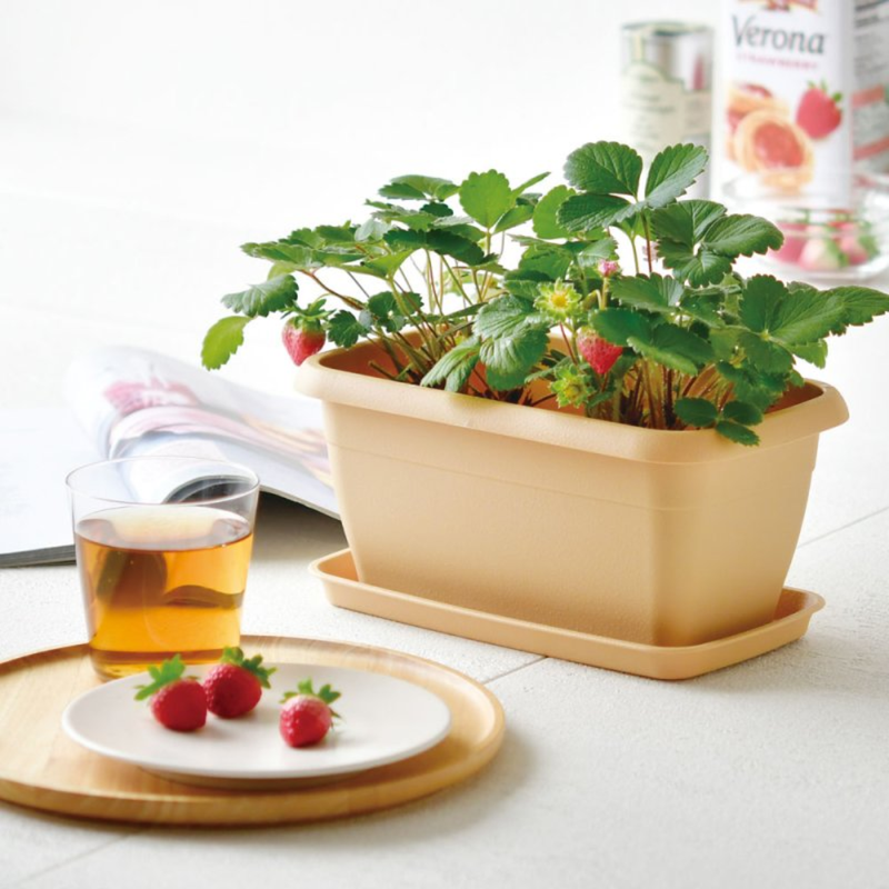 Enjoy Planter - Strawberry
