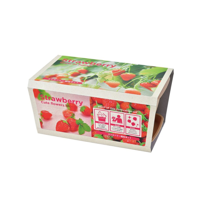 Enjoy Planter - Strawberry