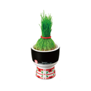 Kokeshi Bob Haired Girl Ryagrass