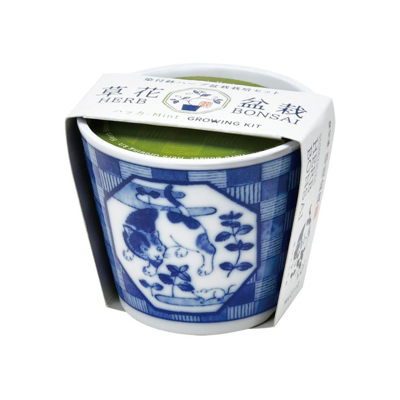 Sometsuke Souka Cat - Peppermint